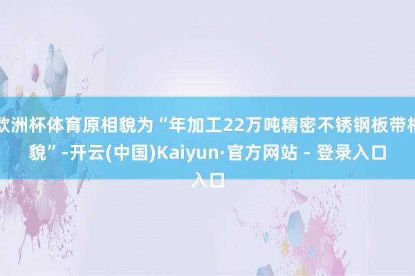 欧洲杯体育原相貌为“年加工22万吨精密不锈钢板带相貌”-开云(中国)Kaiyun·官方网站 - 登录入口