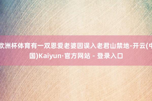 欧洲杯体育有一双恩爱老婆因误入老君山禁地-开云(中国)Kaiyun·官方网站 - 登录入口
