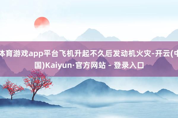 体育游戏app平台飞机升起不久后发动机火灾-开云(中国)Kaiyun·官方网站 - 登录入口