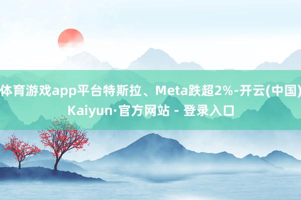 体育游戏app平台特斯拉、Meta跌超2%-开云(中国)Kaiyun·官方网站 - 登录入口